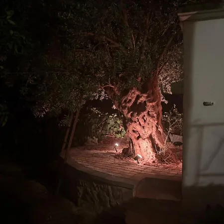 Σπίτι διακοπών Το σπίτι του Καντήλα Λεωνίδιο